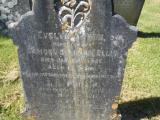 image of grave number 244607
